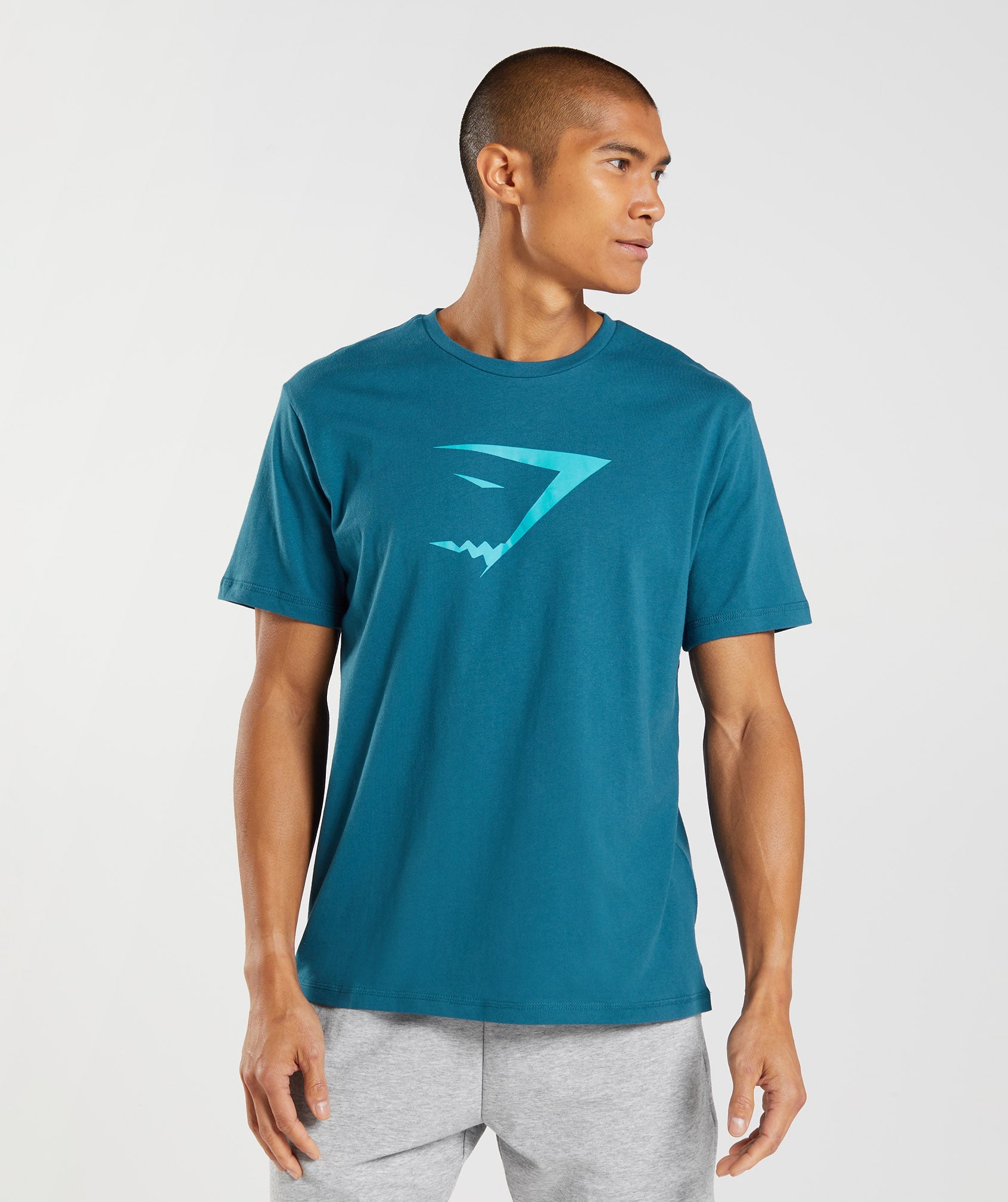 Blue Men's Gymshark Sharkhead Infill T Shirts | RNMQUJ-215