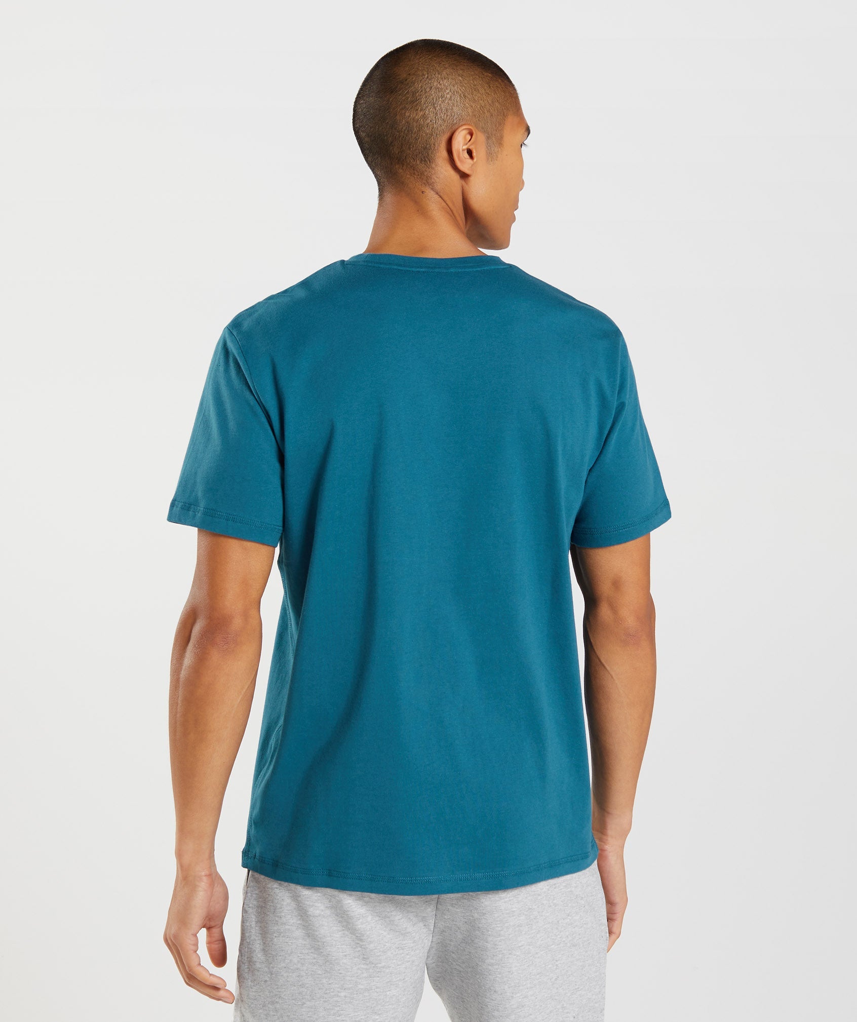 Blue Men's Gymshark Sharkhead Infill T Shirts | RNMQUJ-215