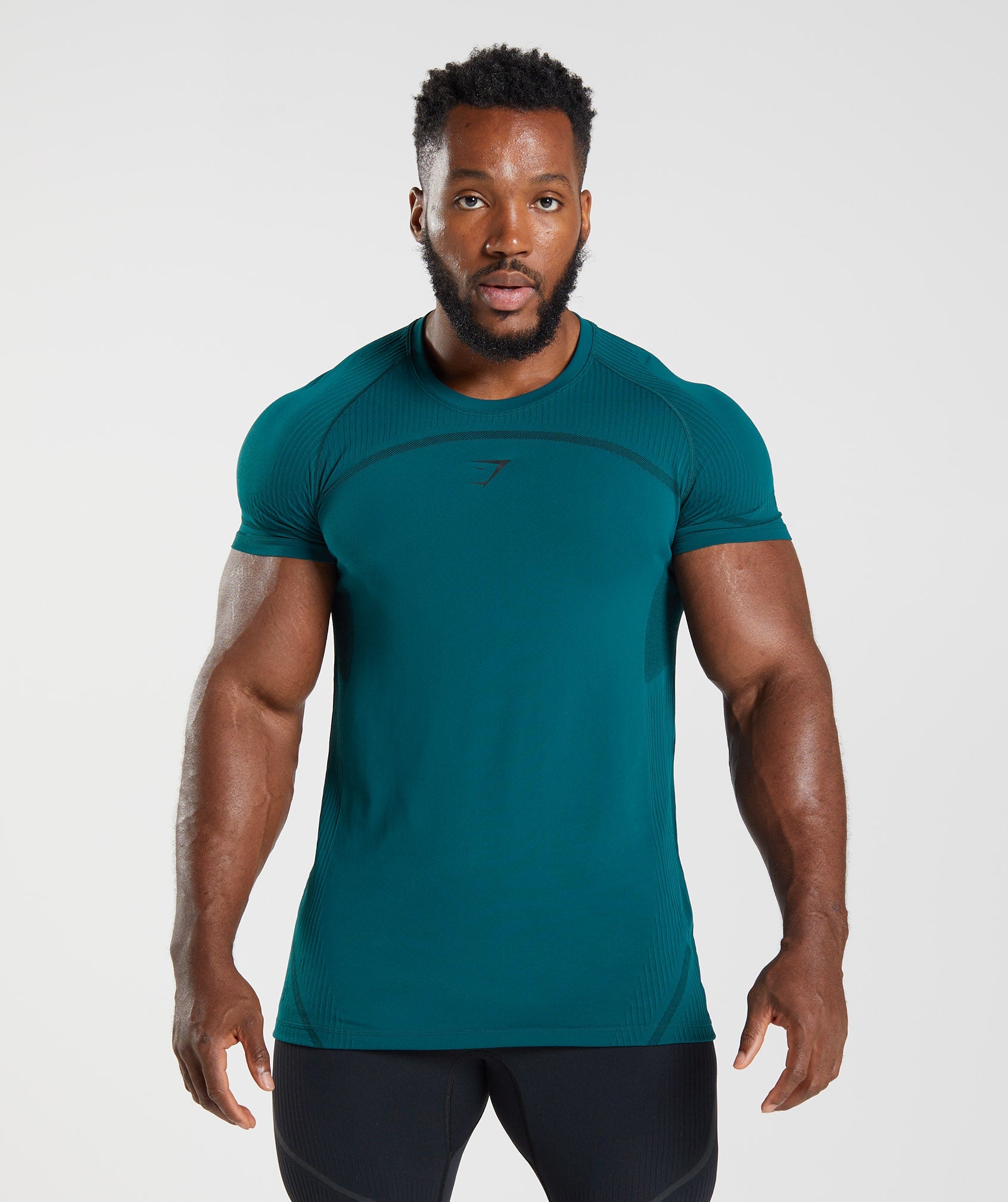 Turquoise Men\'s Gymshark 315 Seamless T Shirts | WLQFSV-273